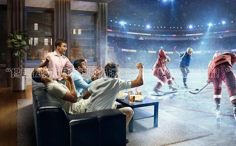 意昂体育4代理赛富乐斯