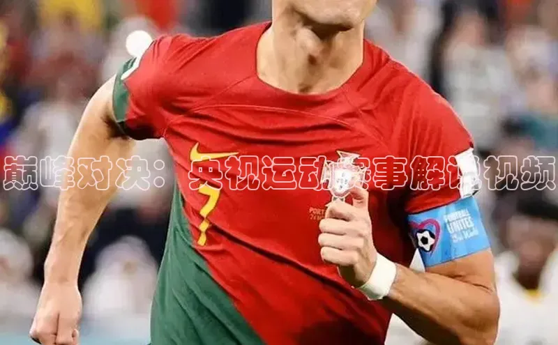 巅峰对决：央视运动赛事解说视频